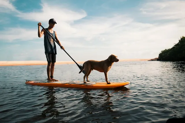 Adrasan'da SUP / paddle board deneyiminden temsili kare
