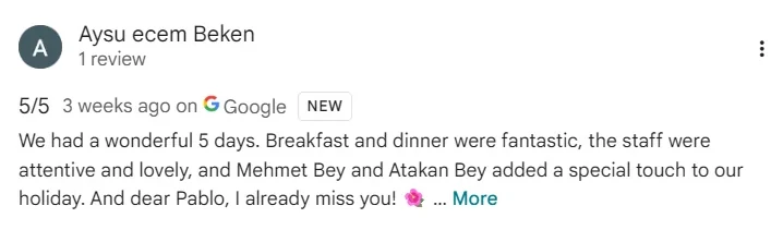 Google guest review, screenshot