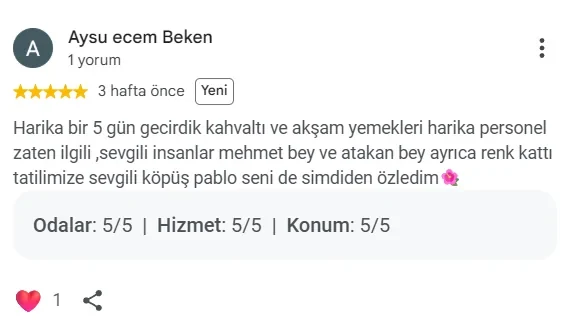 Google misafir yorumu, ekran görüntüsü